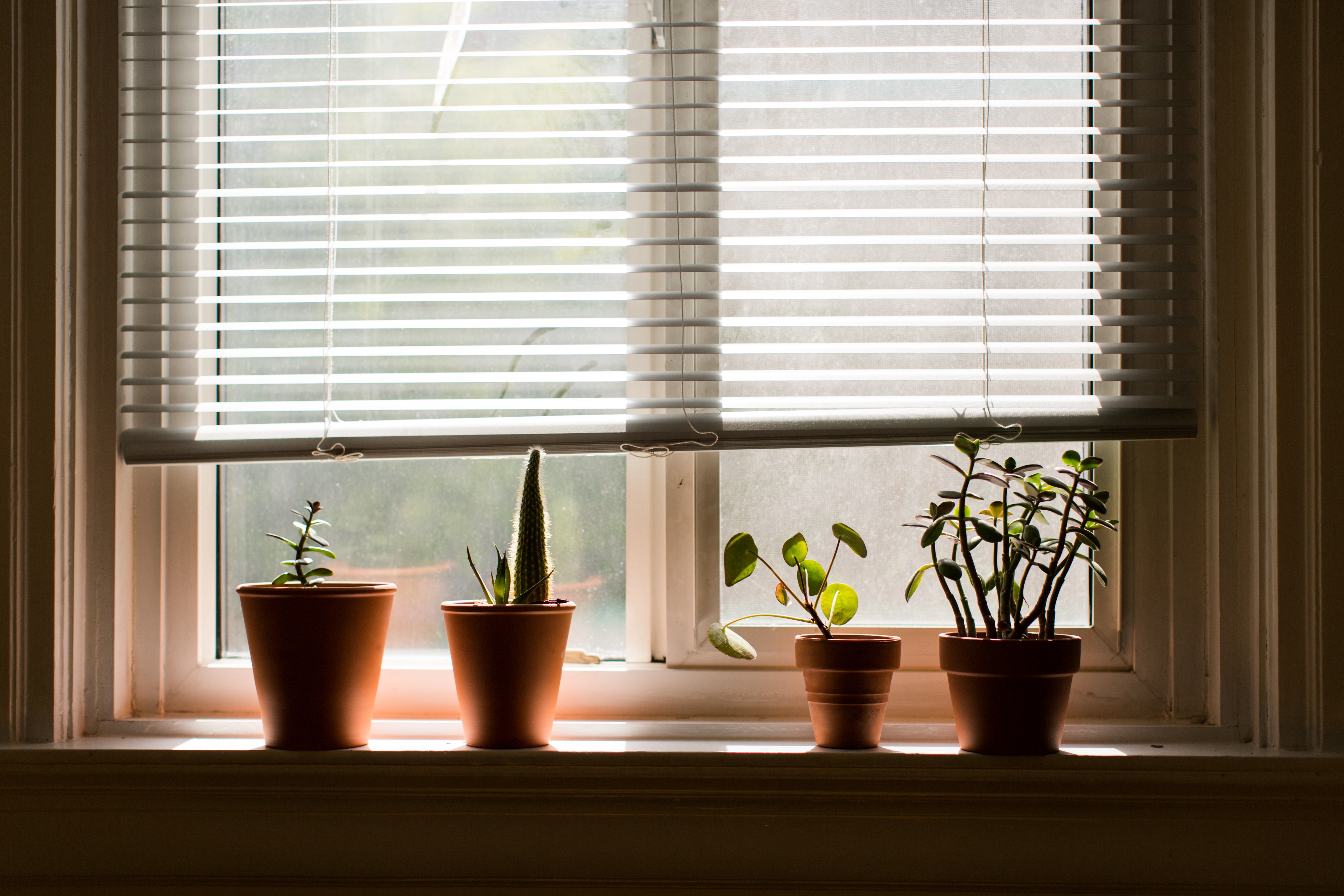 Venetian Blinds Manufacturer in India Venetian Blinds Manufacturer in India
